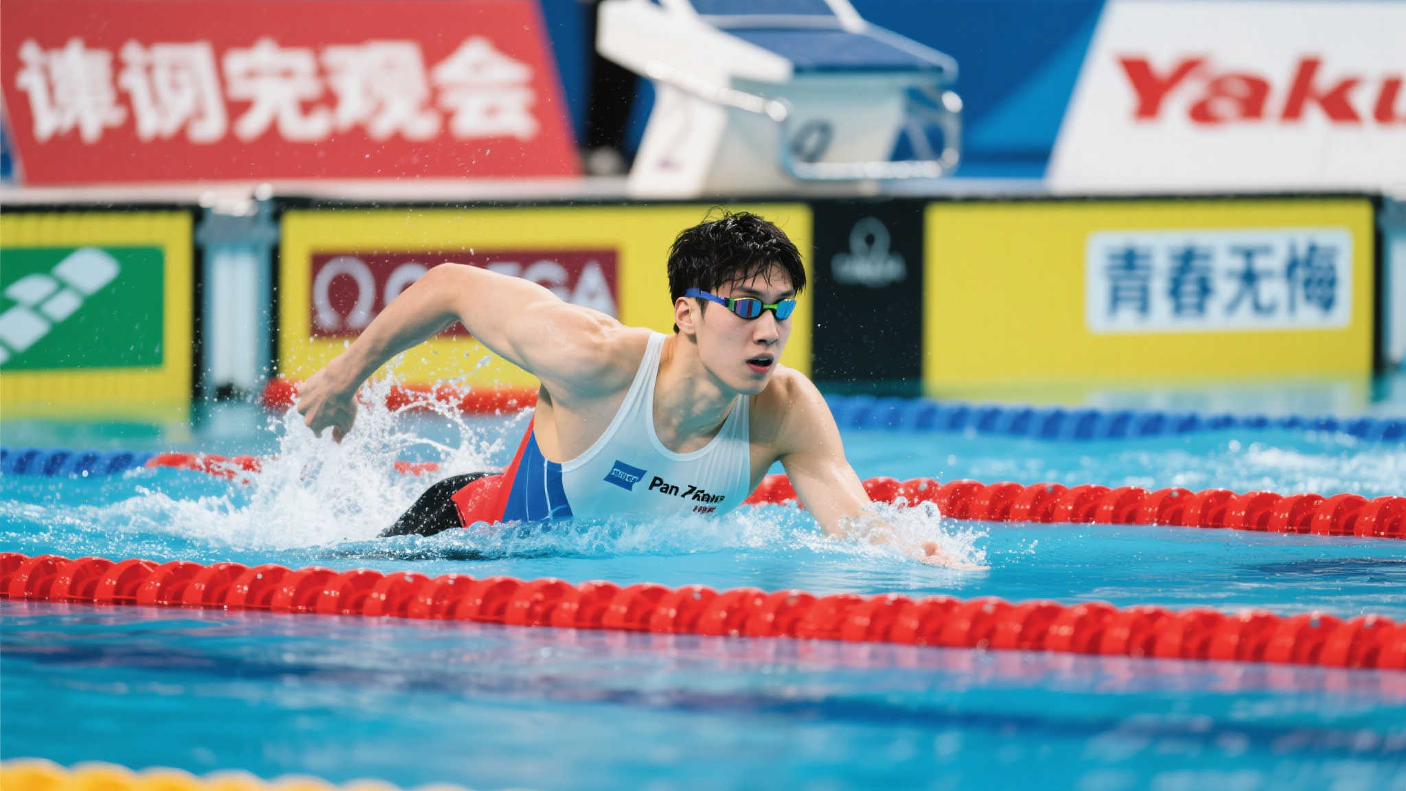 世界杯平台介绍